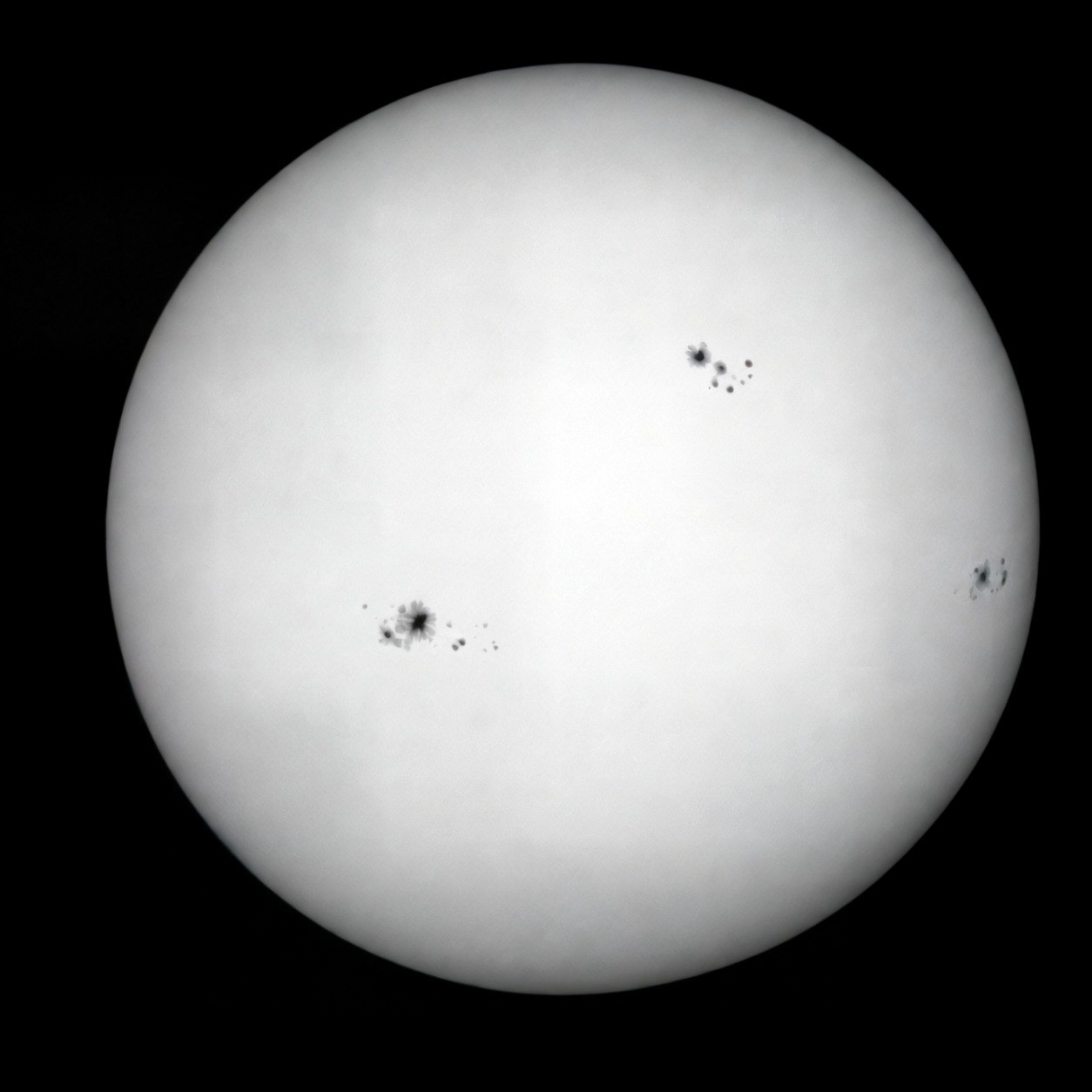 The Sun in white light